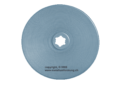 Pressplatte - perforierte Platte, Filtrationsplatte, Teller, Scheibe, Backblech, Kuchenplatte